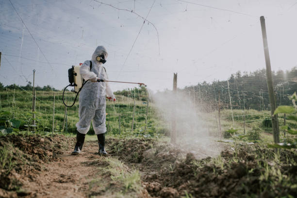 Best Best Pest Control Companies  in Scottsboro, AL