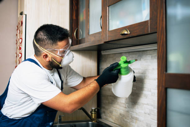 Best Pest Inspection Near Me  in Scottsboro, AL