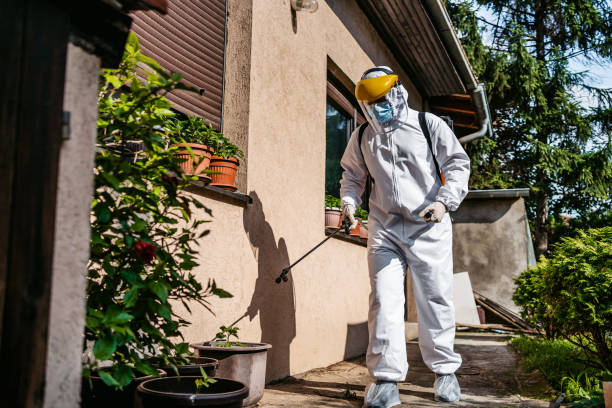 Best Local Pest Control Services  in Scottsboro, AL