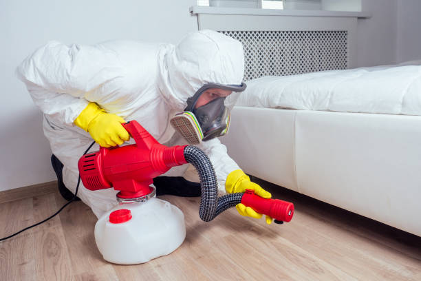 Best Termite Control Services  in Scottsboro, AL