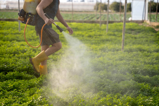 Pest Control for Restaurants in Scottsboro, AL