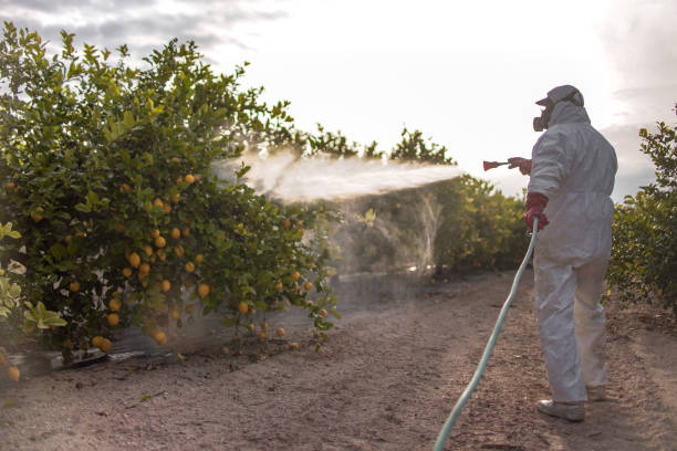 Best Residential Pest Control  in Scottsboro, AL