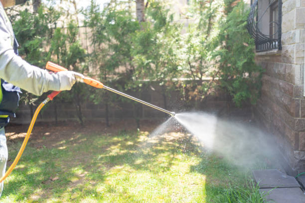 Best Bird Control  in Scottsboro, AL