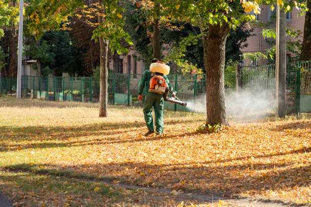 Best Flea Control Services  in Scottsboro, AL