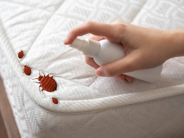 Best Commercial Pest Control Services  in Scottsboro, AL