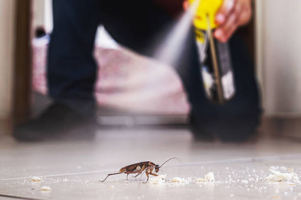 Pest Prevention Services in Scottsboro, AL