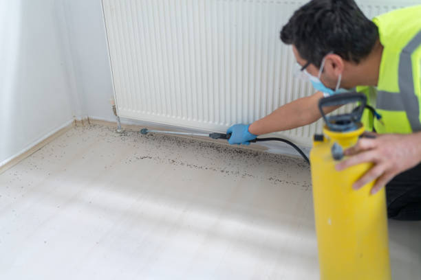 Best Residential Pest Control  in Scottsboro, AL