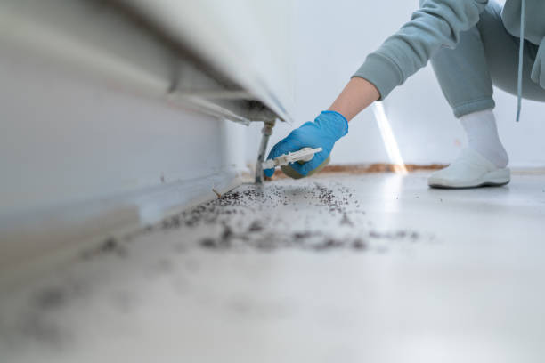 Reliable Scottsboro, AL Pest Control Solutions