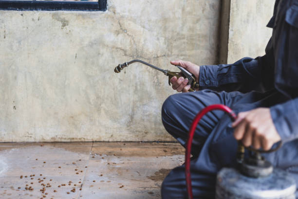 Best Best Pest Control Companies  in Scottsboro, AL